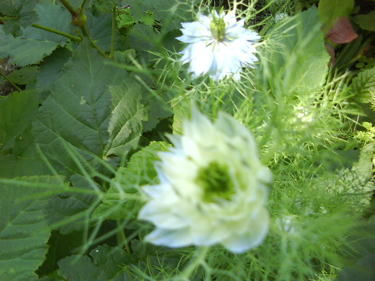 DSC00541.JPG
