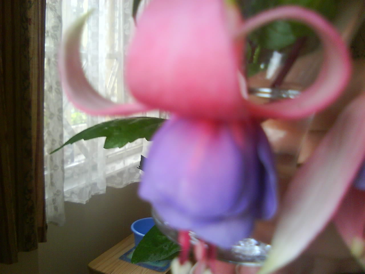 DSC00305.JPG