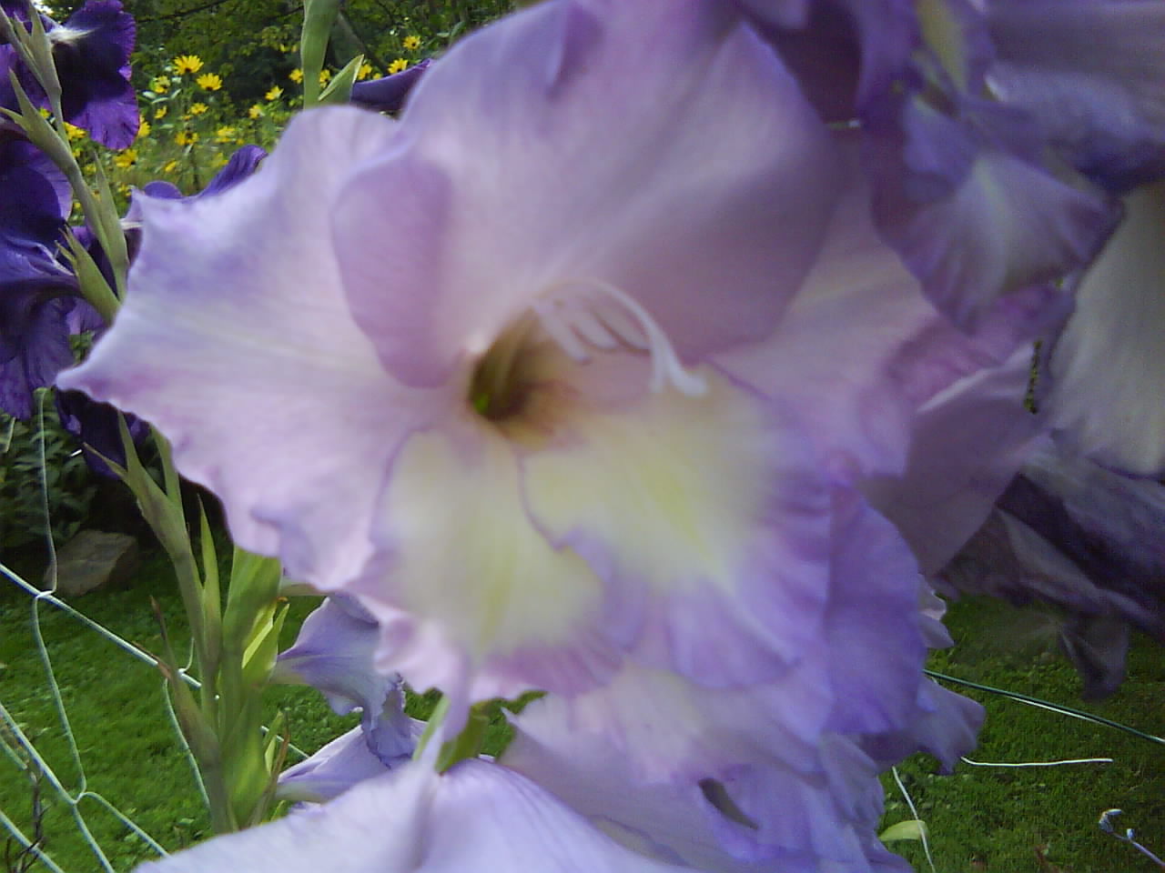 DSC00644.JPG