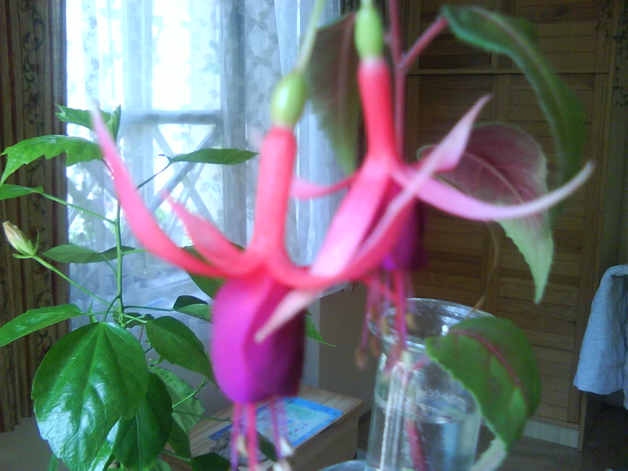 DSC00323.JPG