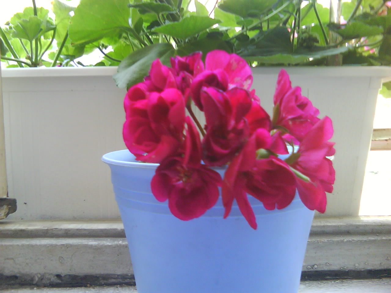 DSC00440.JPG