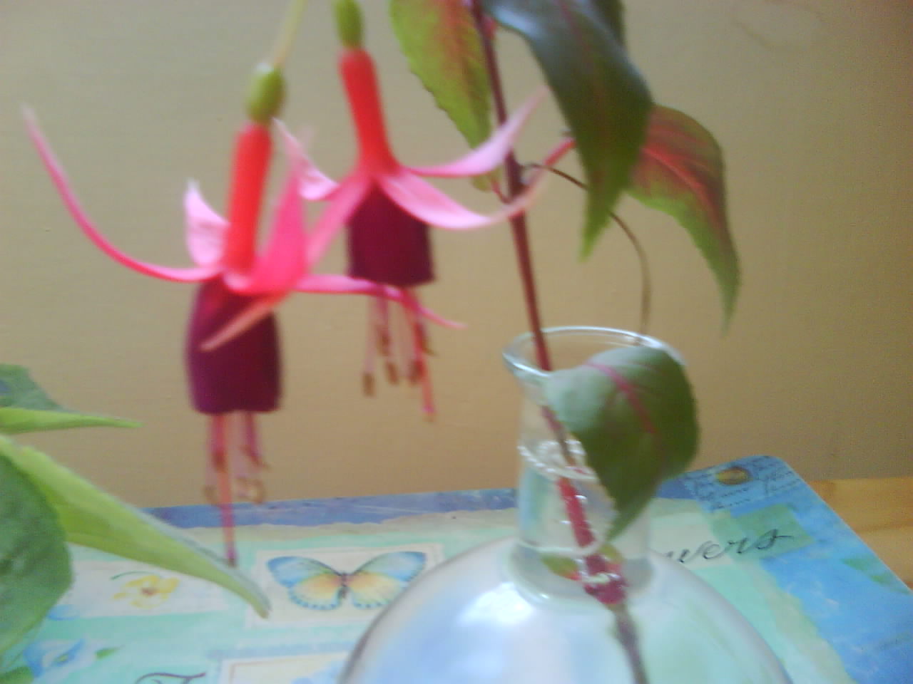 DSC00324.JPG