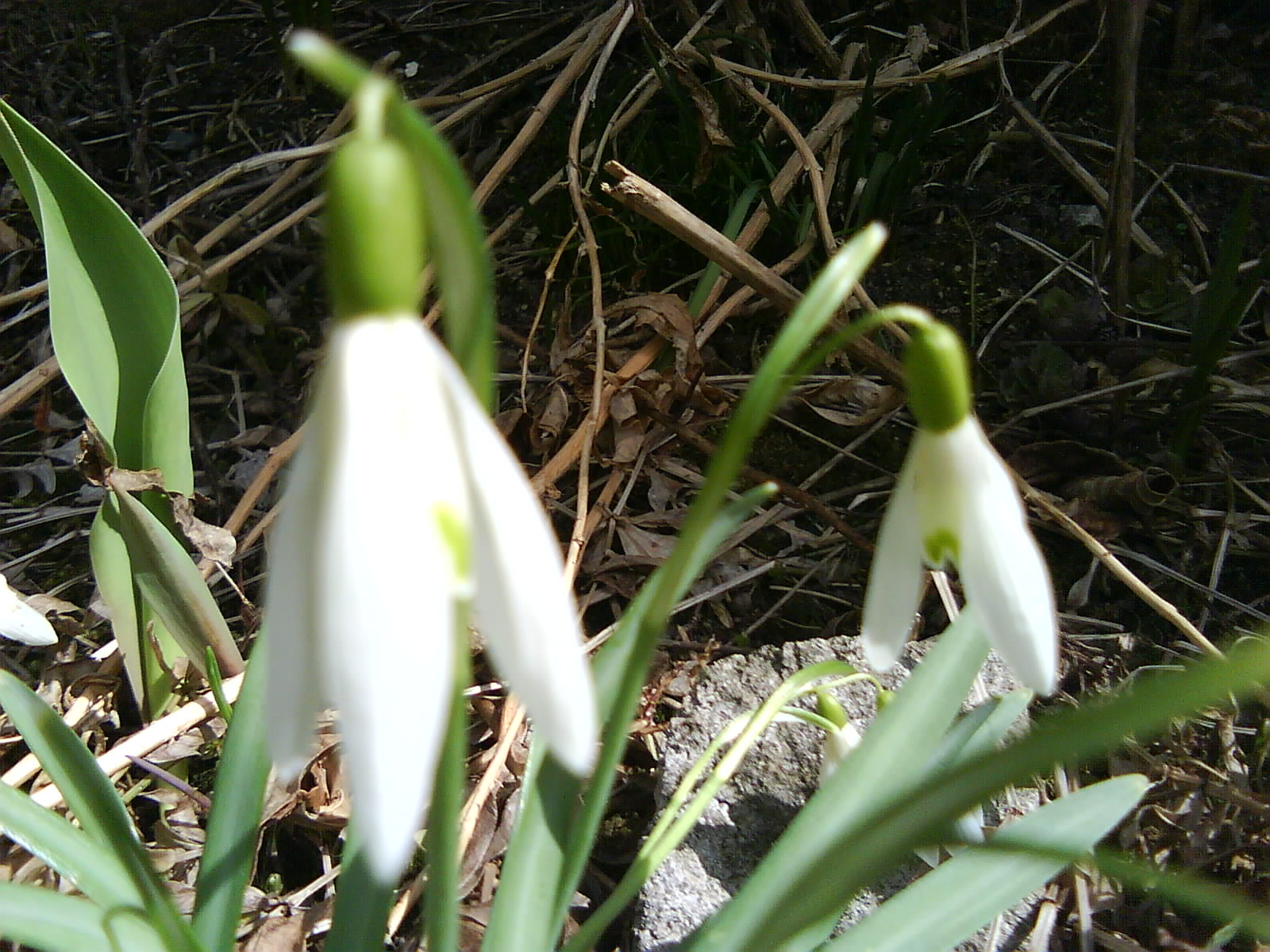 DSC01405.JPG