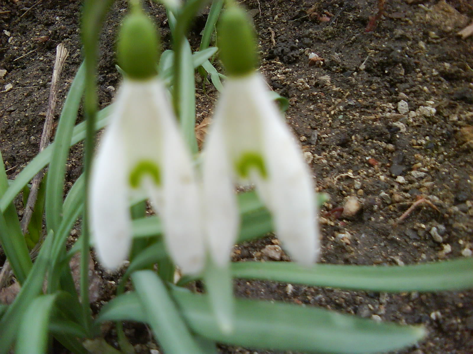 DSC01410.JPG