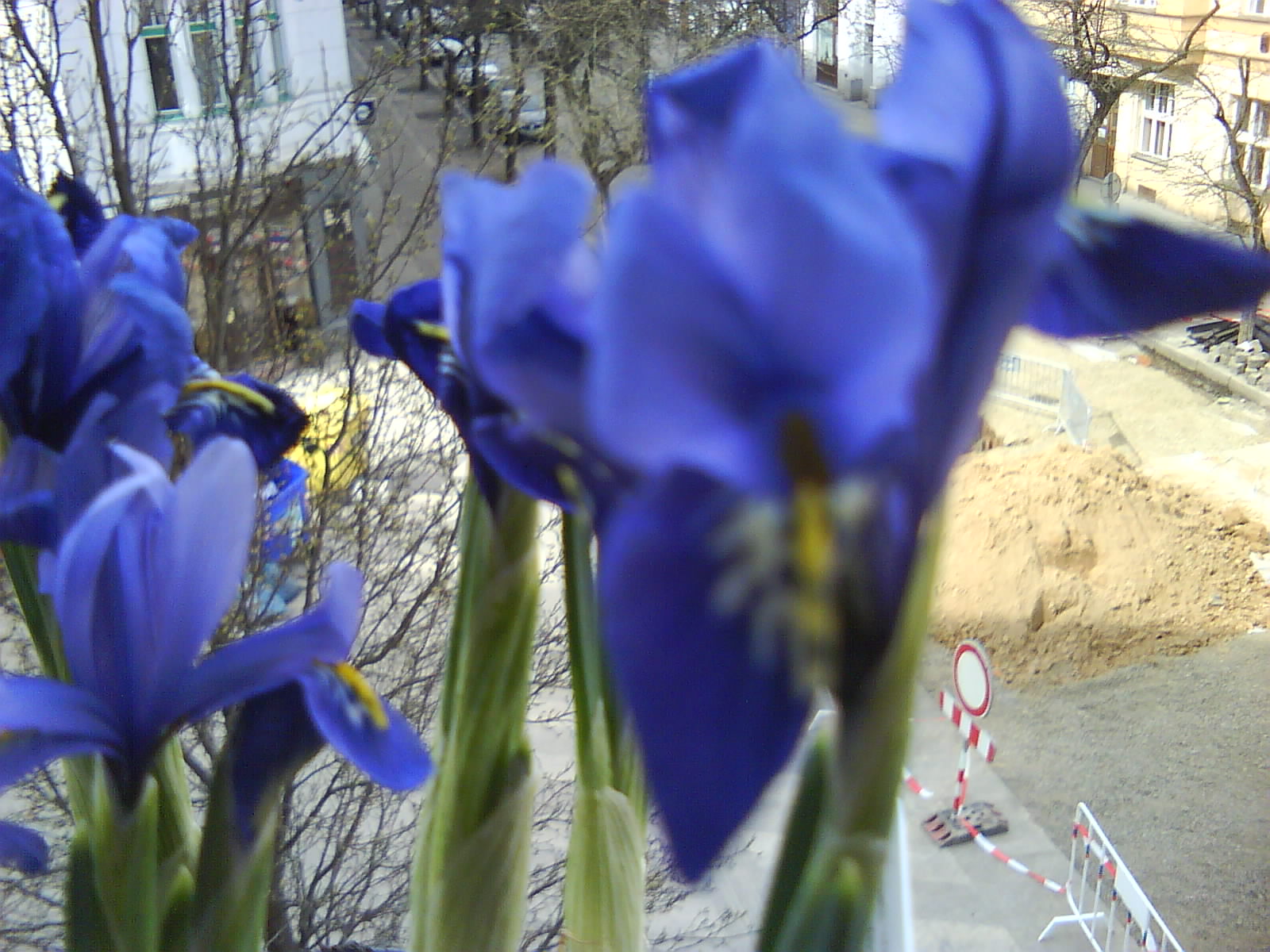 DSC01503.JPG