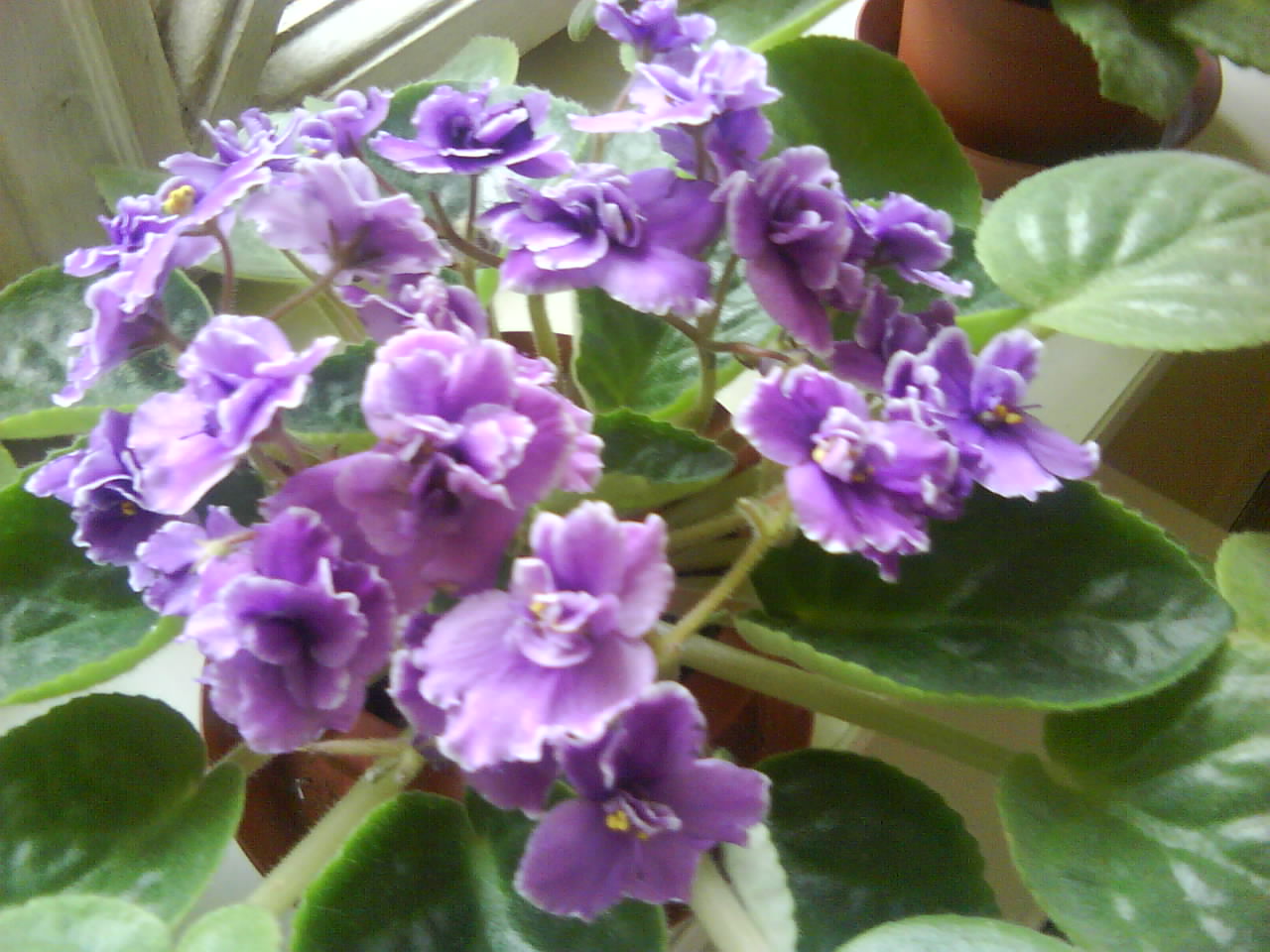 DSC00300.JPG