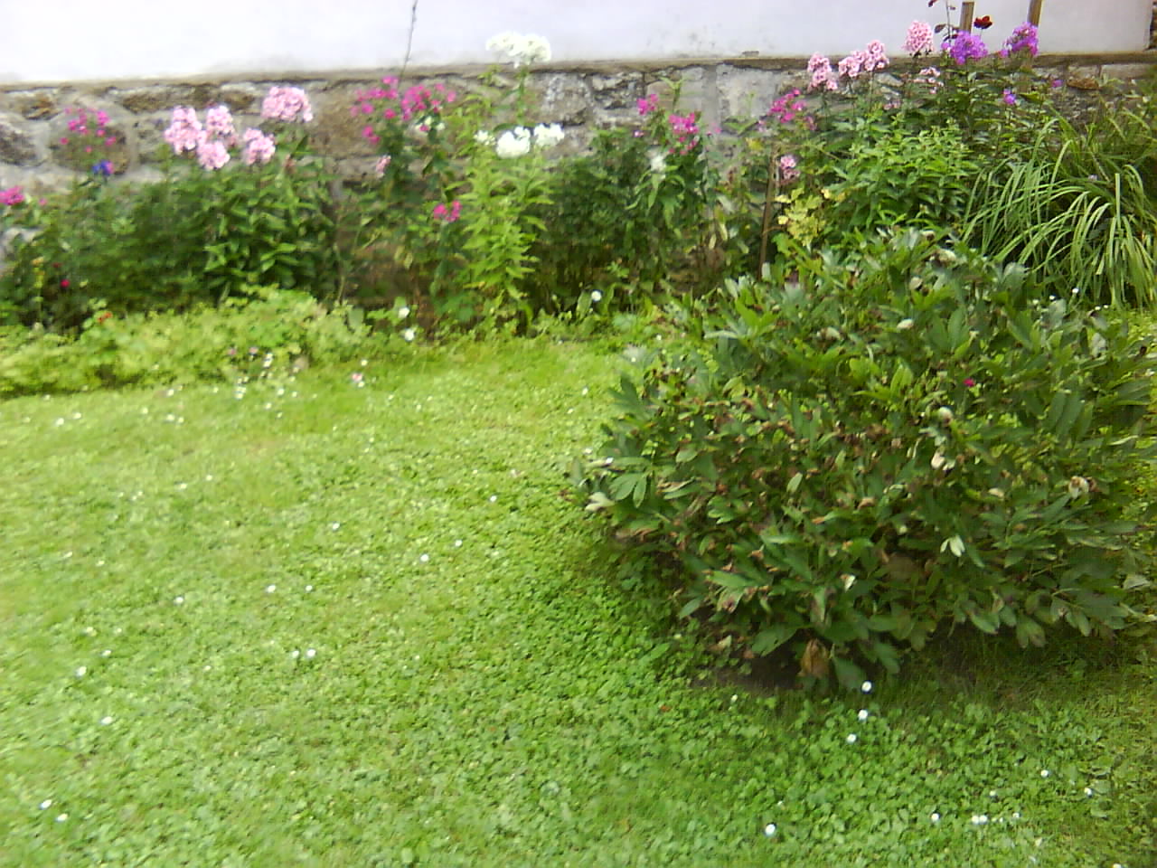 DSC00481.JPG